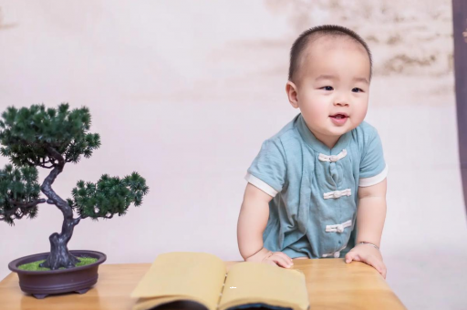 广州供卵包男孩可爱的企鹅宝宝